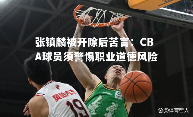 张镇麟被开除后苦言：CBA球员须警惕职业道德风险