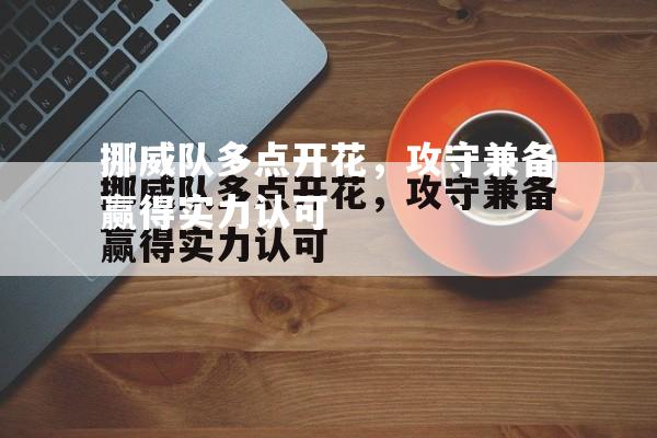 挪威队多点开花，攻守兼备赢得实力认可